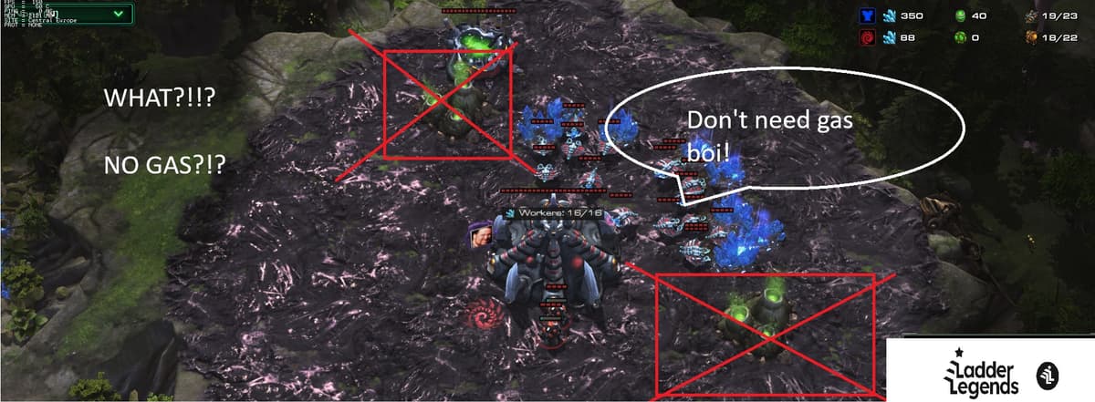 TVZ - How to play vs gasless openings?!