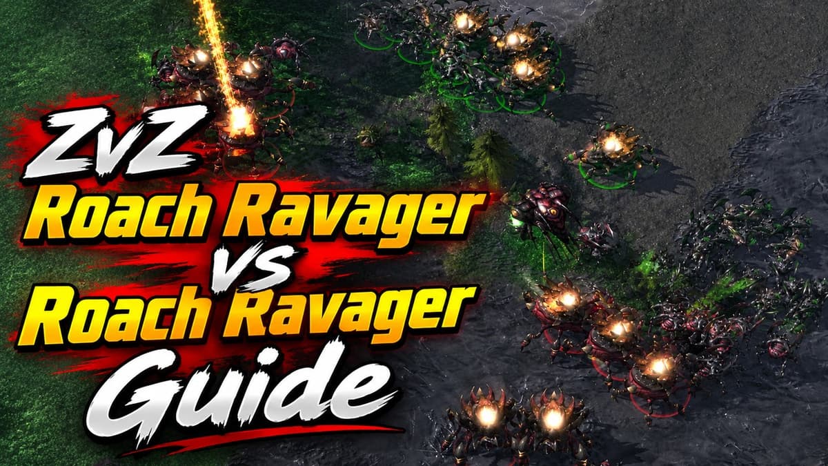 ZvZ Roach Ravager vs Roach Ravager Guide