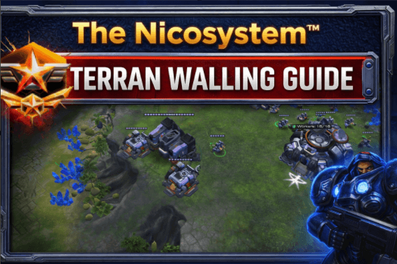 The Nicosystem™ Guide to Infrastructure and walling: 