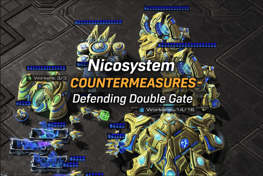 Nicosystem Countermeasures: Defending Double Gate 