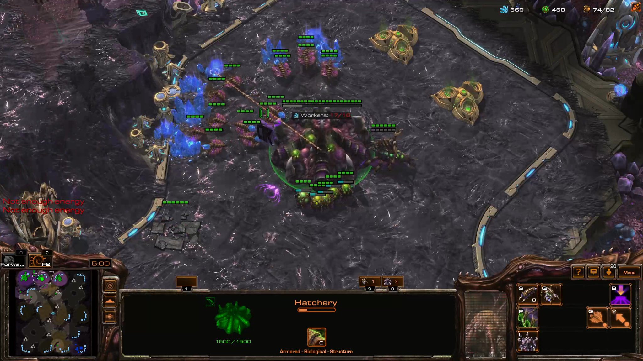 ZvX Learning the basic Zerg build order