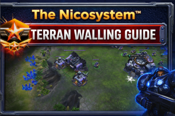 The Nicosystem™ Guide to Infrastructure and walling: 