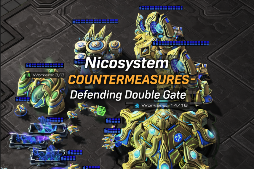 Nicosystem Countermeasures: Defending Double Gate 